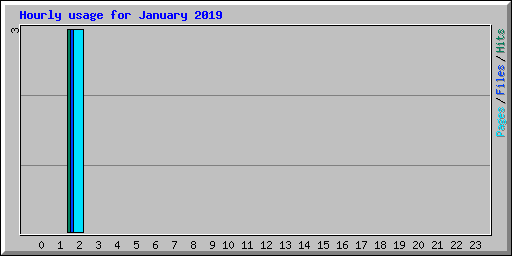 Hourly usage for January 2019