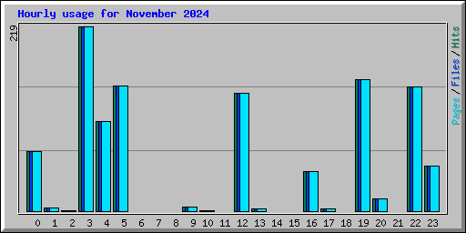 Hourly usage for November 2024