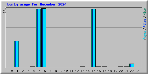 Hourly usage for December 2024