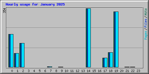 Hourly usage for January 2025
