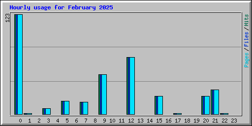 Hourly usage for February 2025
