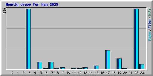 Hourly usage for May 2025
