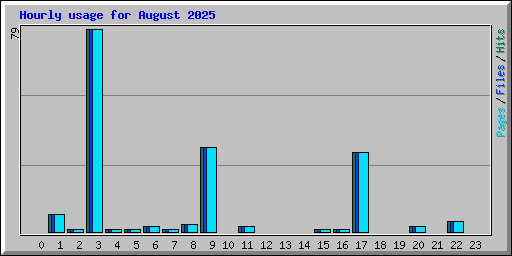 Hourly usage for August 2025